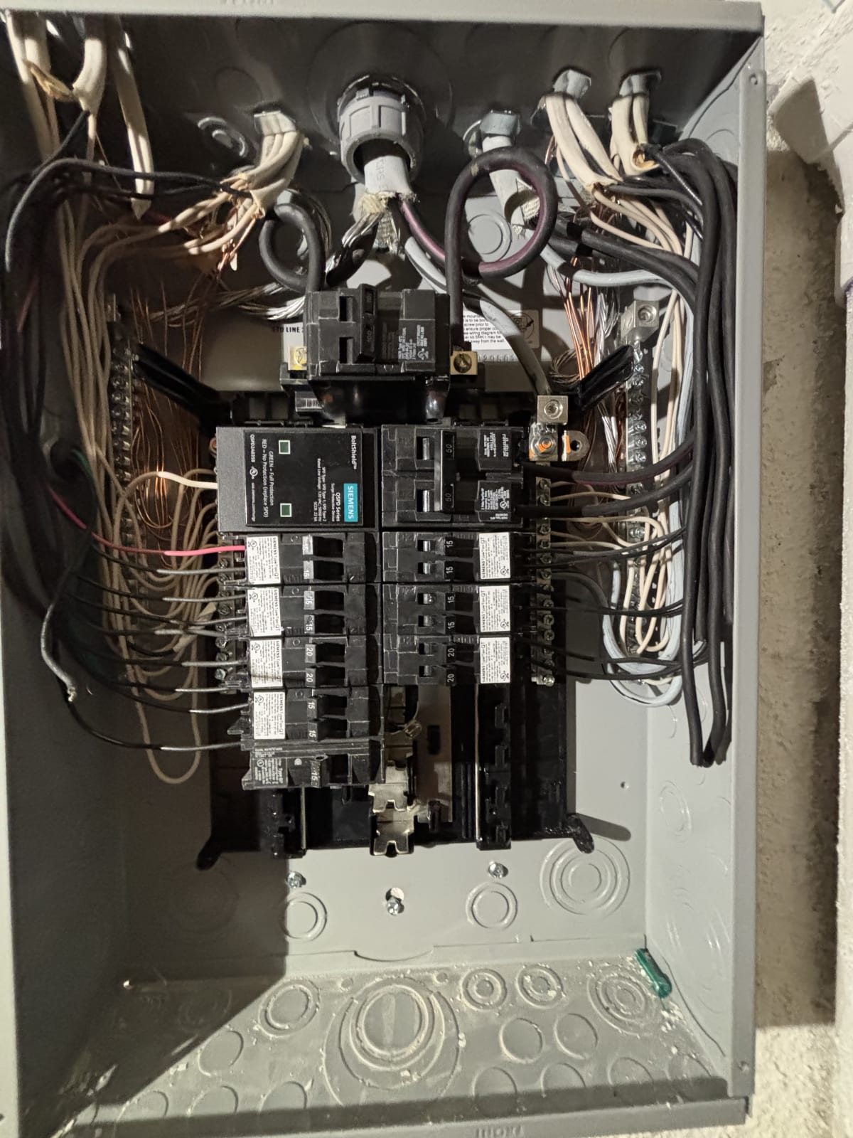 Panel Upgrade project photo in Novi