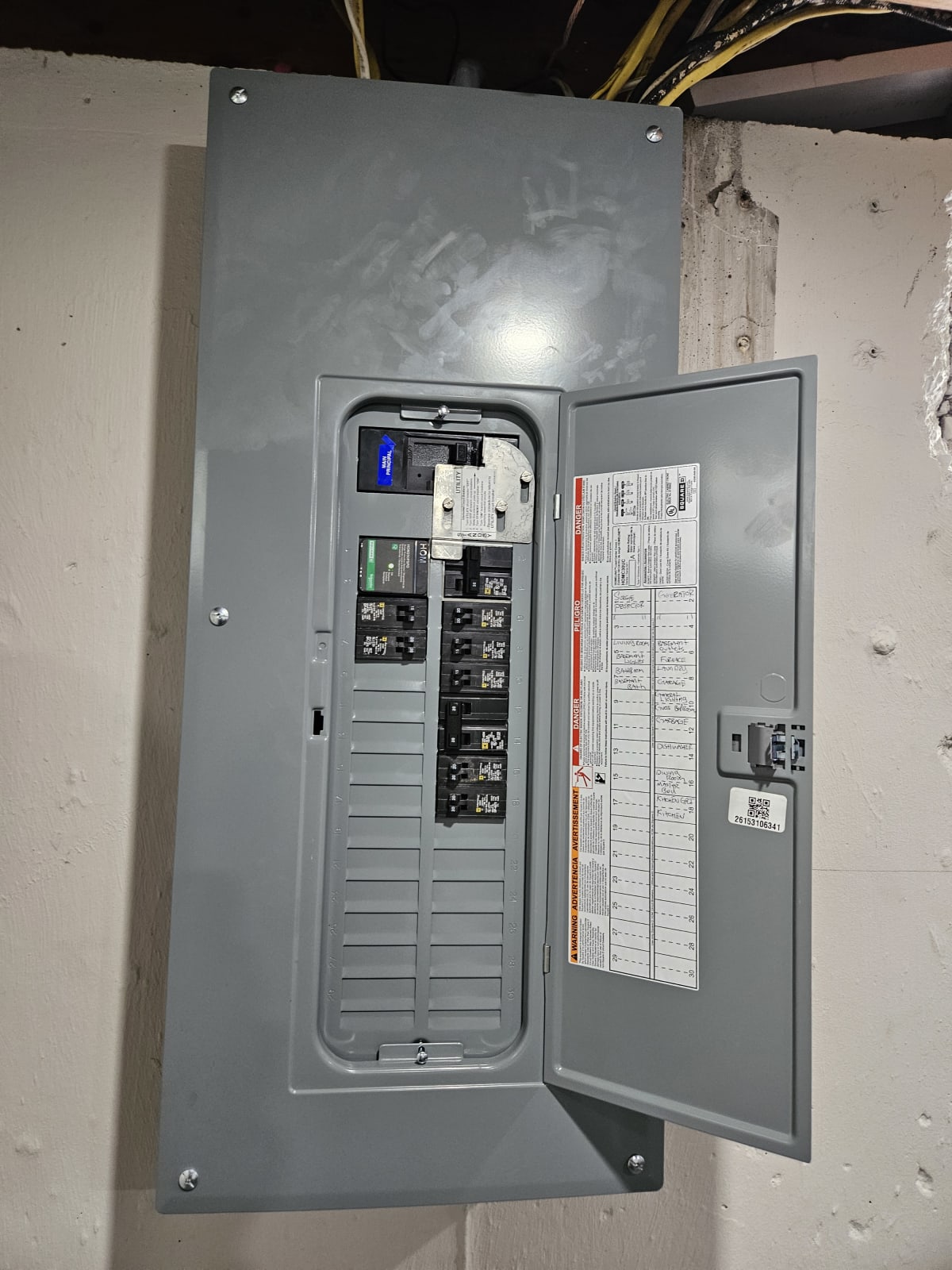 Surge Protection project photo in Royal Oak