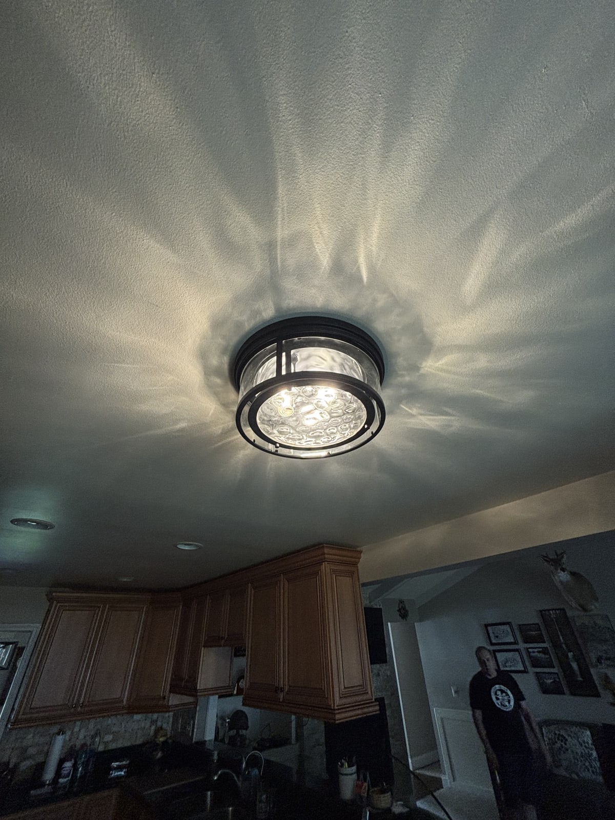 Lighting project photo in Clinton Township