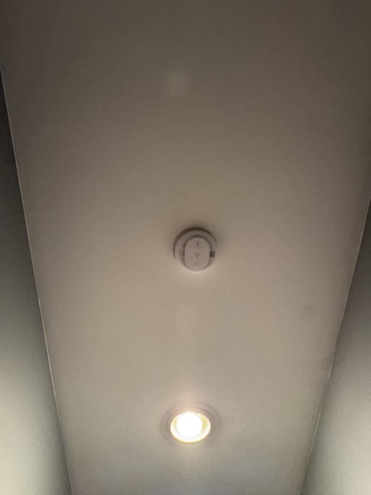 Code Correction project photo in Macomb